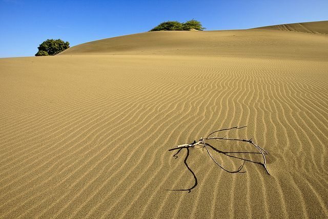 Dunas de Bani — vista adicional
