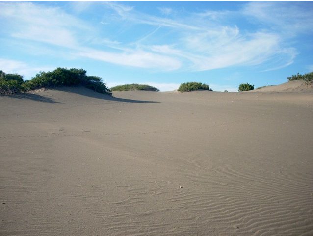 Dunas de Bani