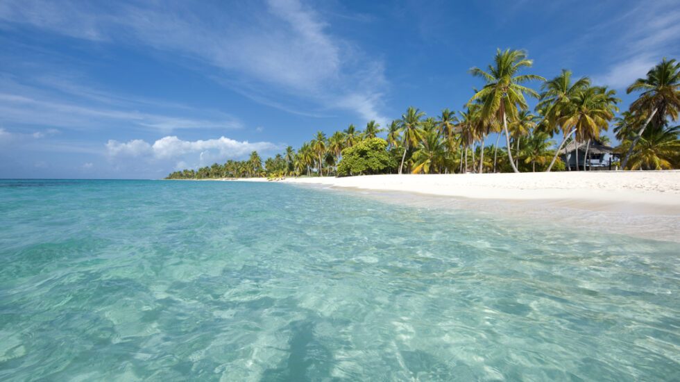 Isla Saona
